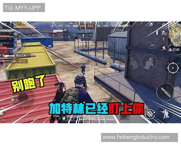 和平精英战术解析：深入探讨EDG区域防守策略与执行细节